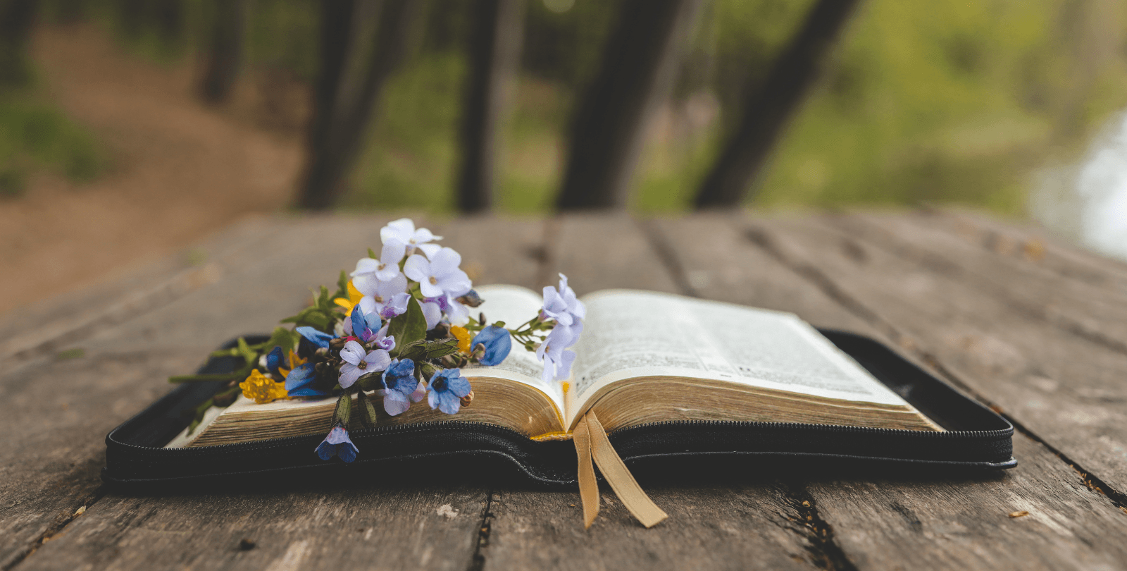 The Bible sits open on a wooden bench outdoors. A bundle of flowers rests on top of it.
