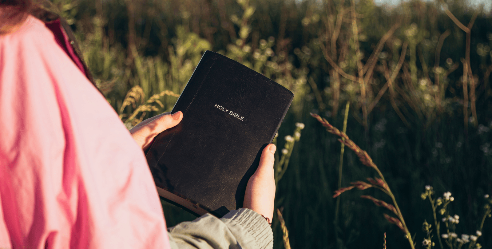 A woman holds the Bible in a field.