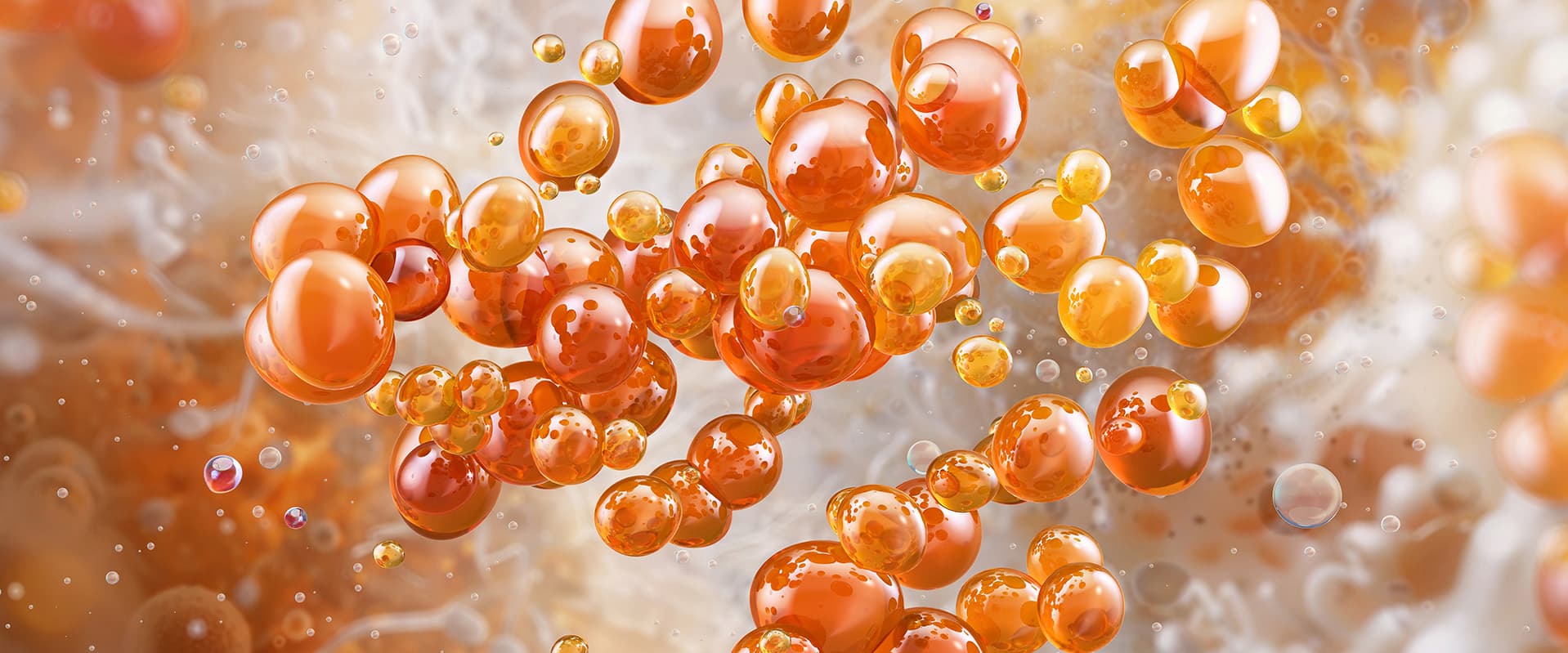 orange yeast under microscope