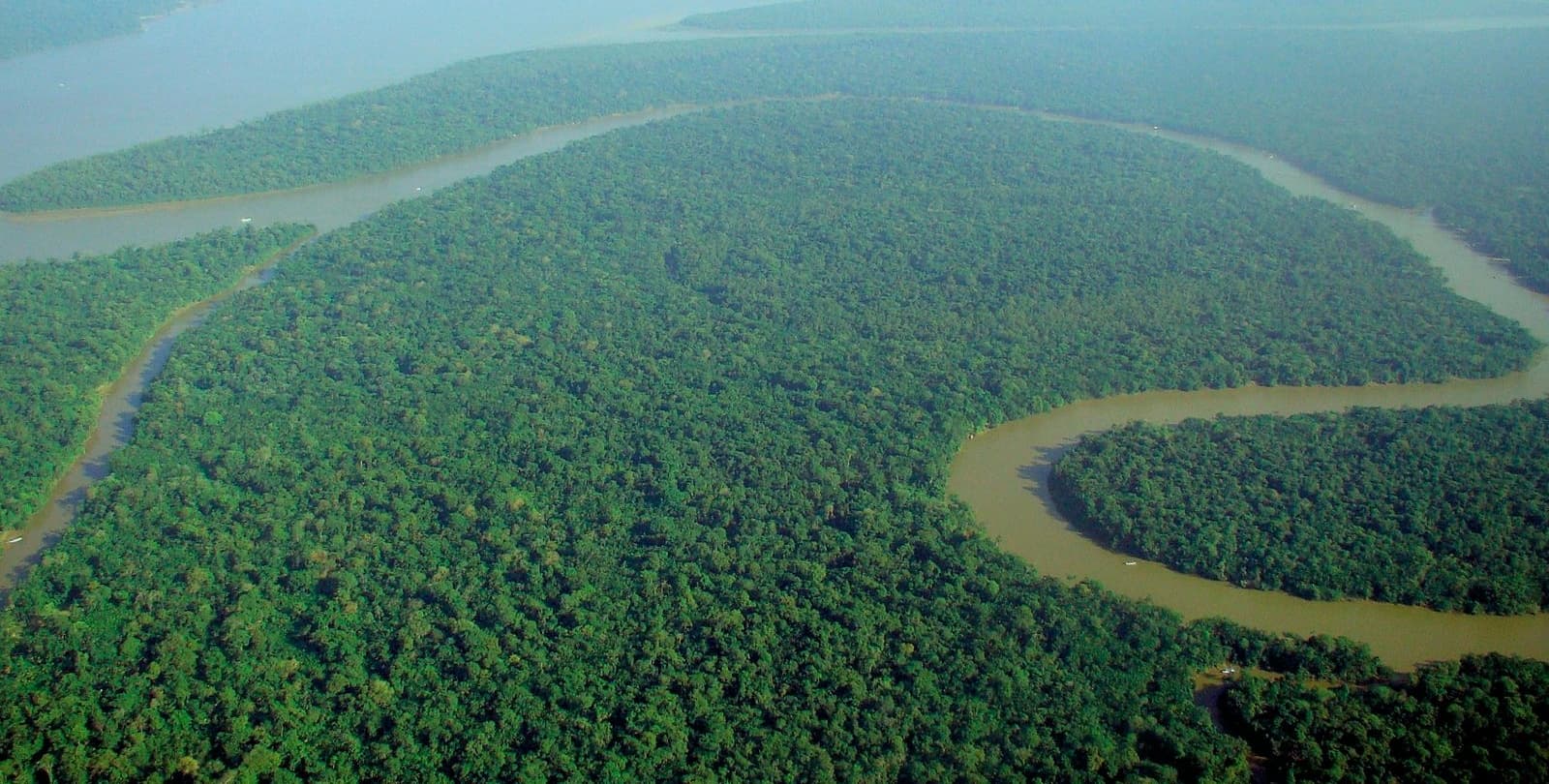 Aerial view of the Amazon rainforest. The Amazon River snakes through the forest.