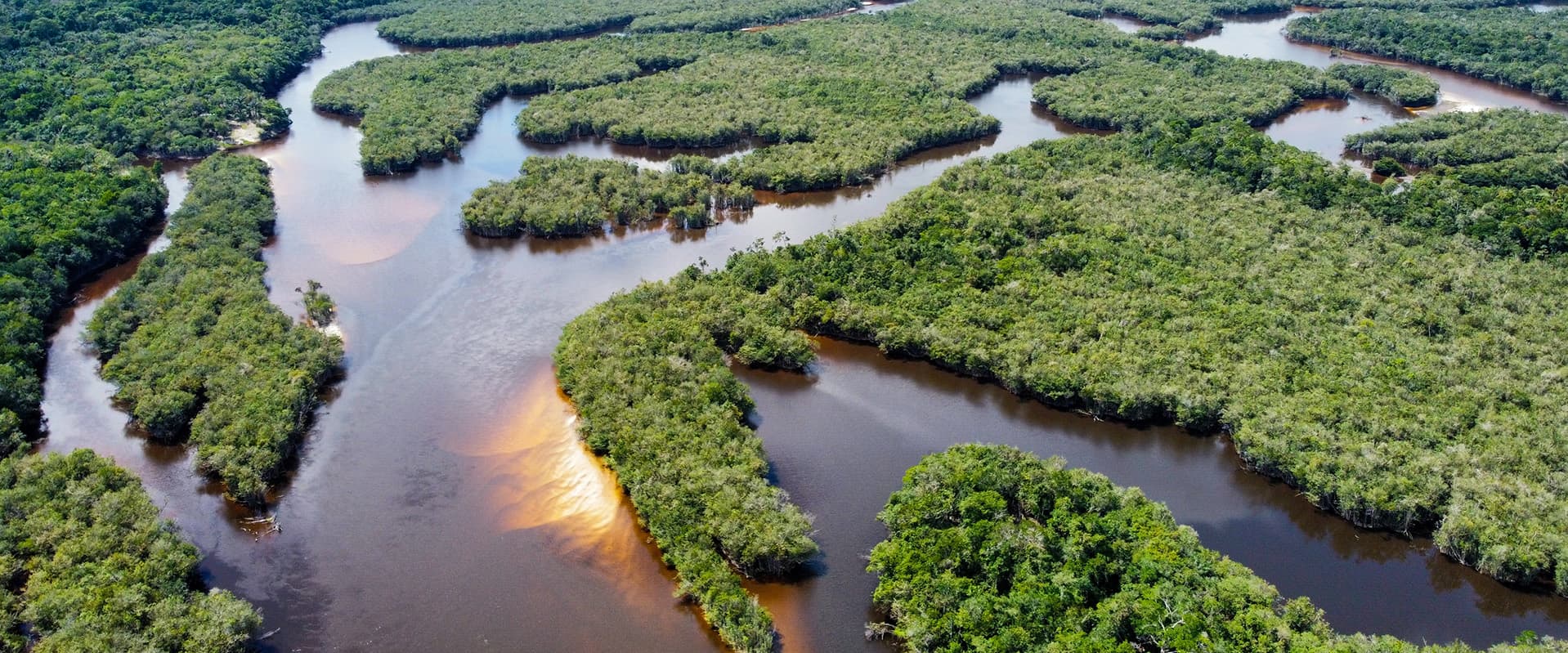 Amazon River from the air