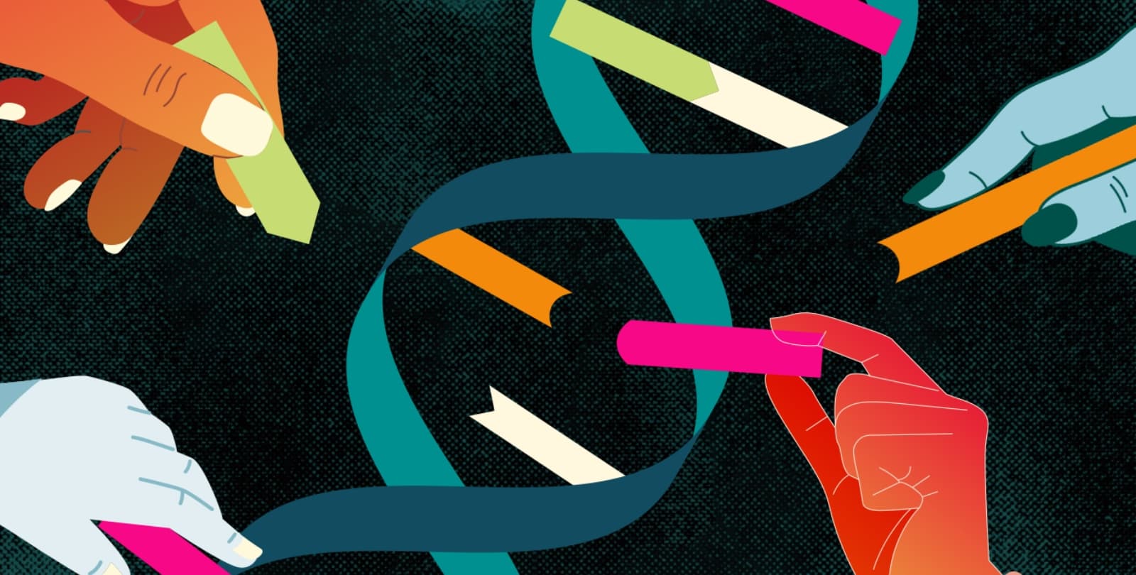 Animation of hands putting together a DNA helix.