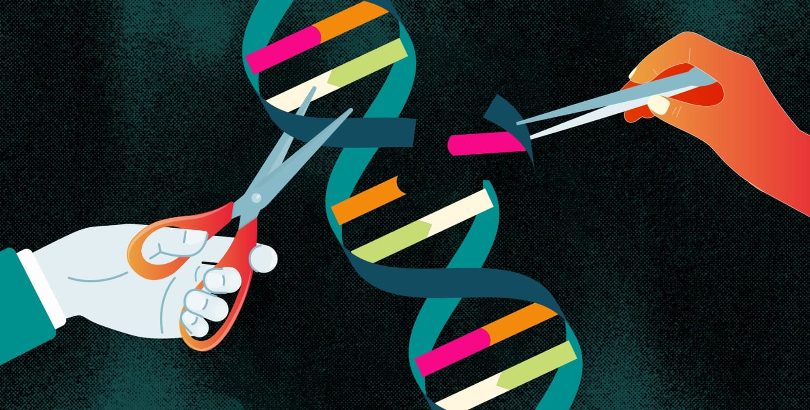 Illustration of two hands using scissors to cut into a DNA helix.