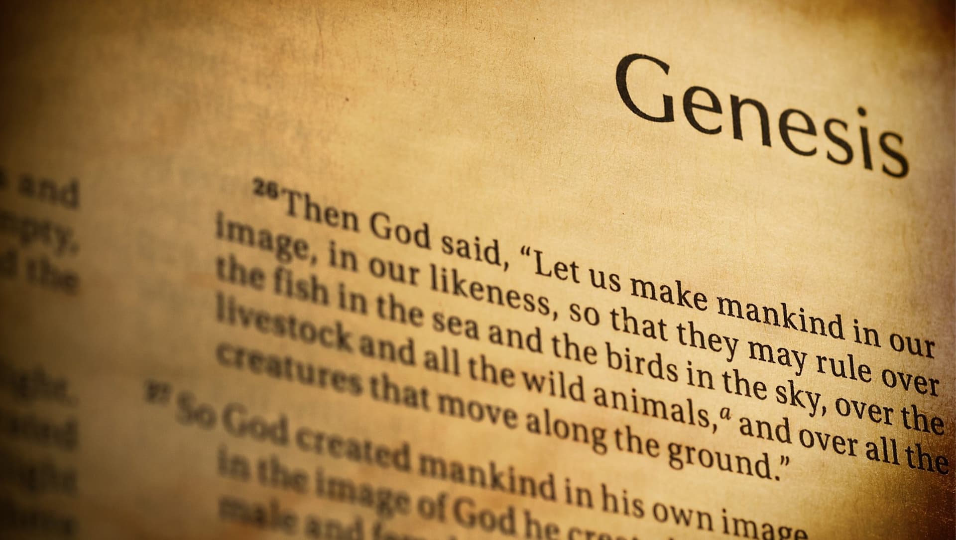 Genesis 1: Image of God