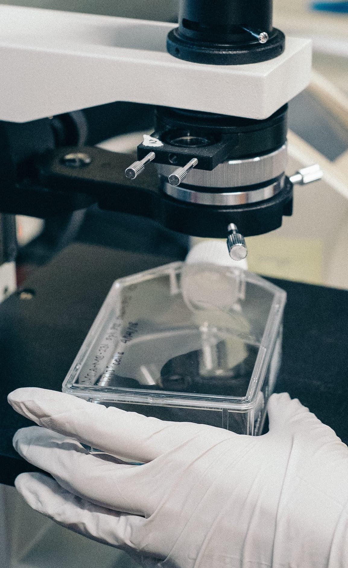 gloved hand using microscrope
