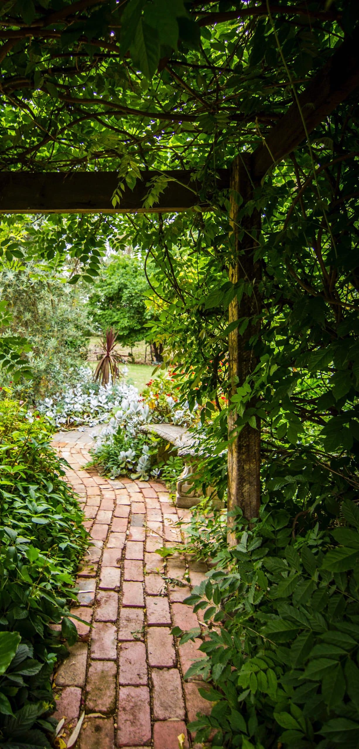 a paved path leading through a garden