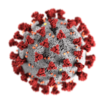 Illustration of the corona virus that causes COVID showing spike proteins