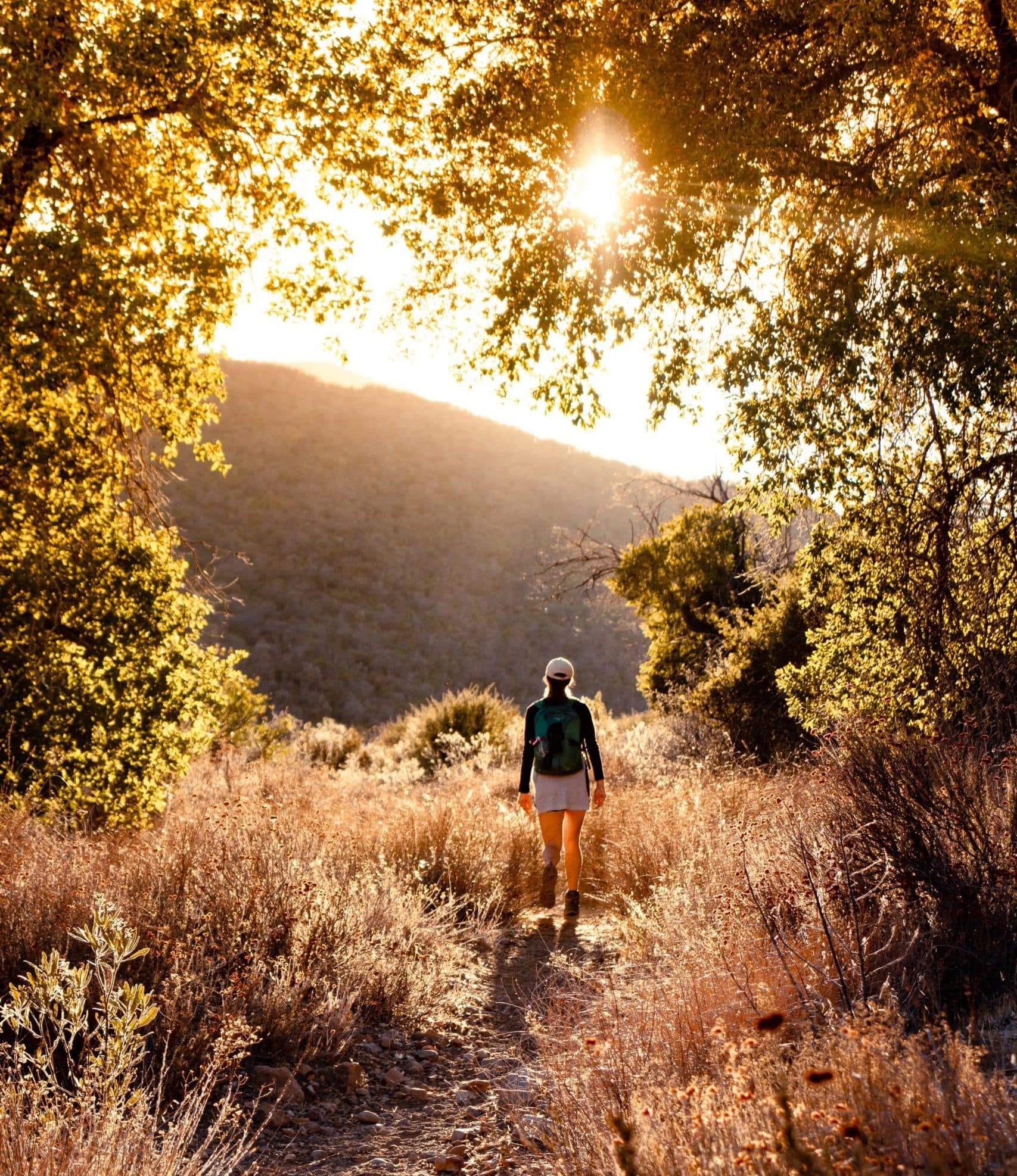 Person walking scenic trail