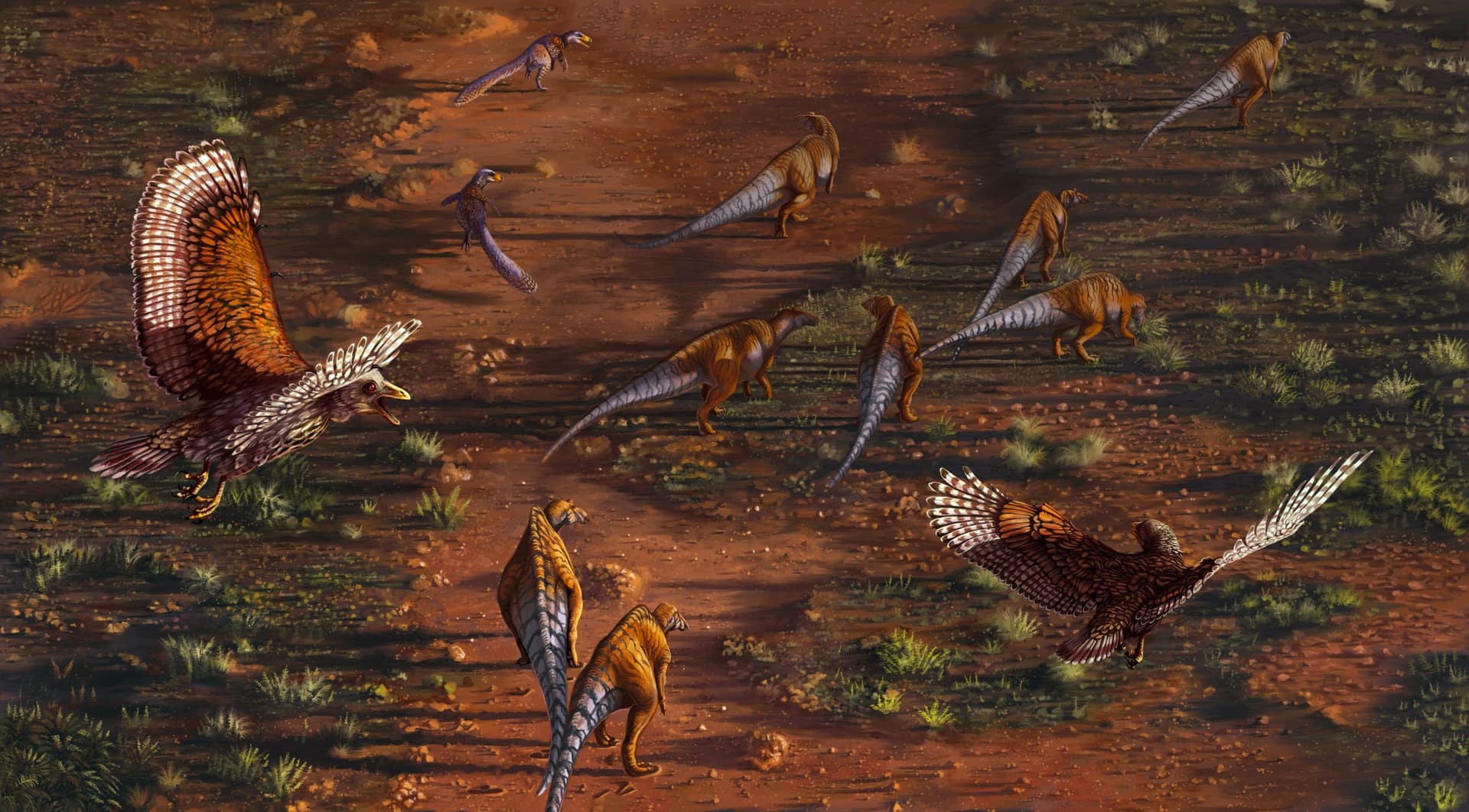 A pair of winged dinosaurs fly over a herd of dinosaurs