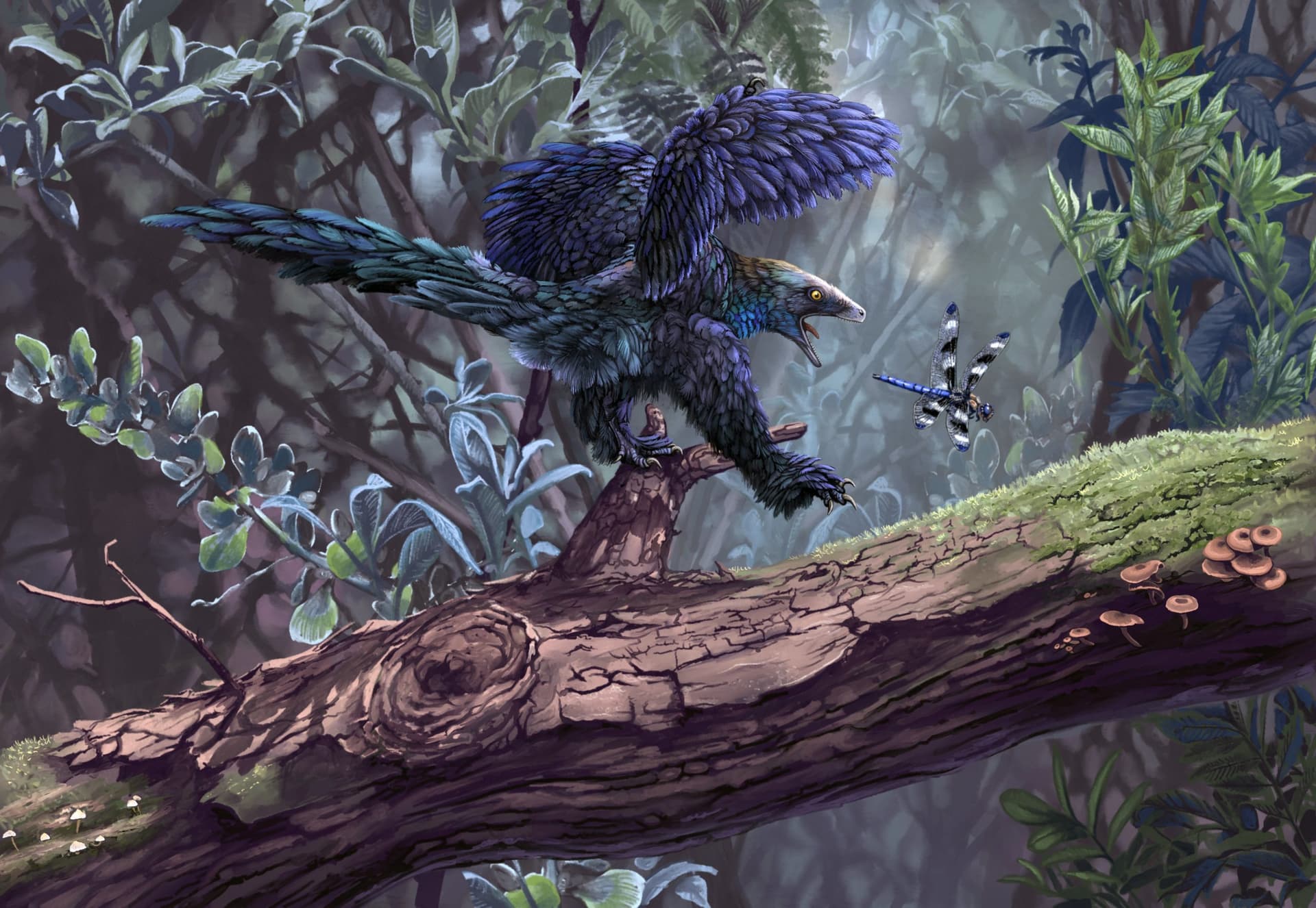 Artist's interpretation of Caihong dinosaur capturing insect
