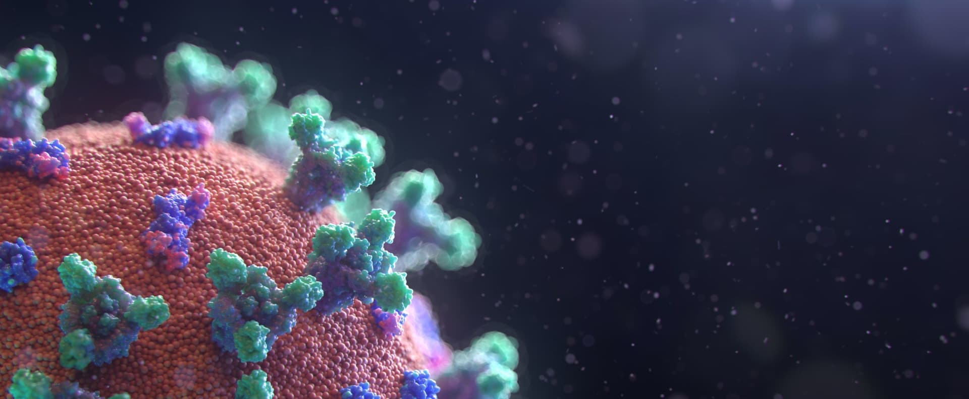 Digital illustration of the COVID-19 virus
