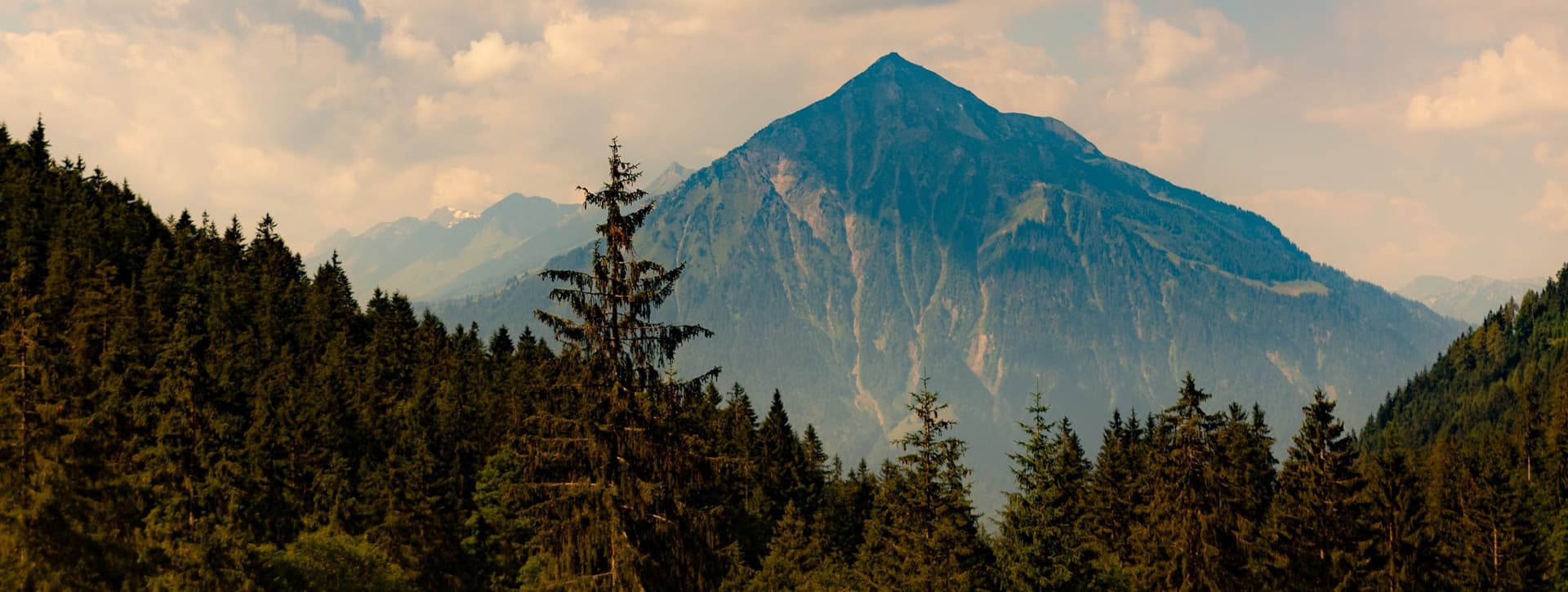 Picturesque mountain peak in background surrounded by trees
