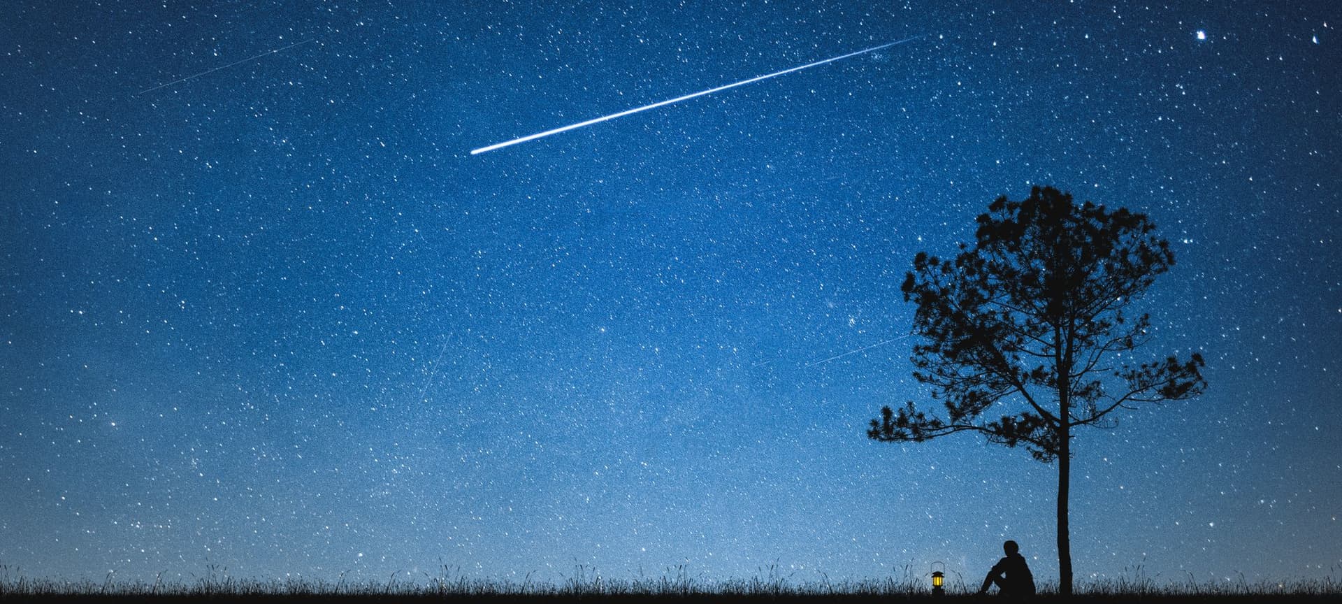 Person sitting under tree as a shooting star breaks through a picturesque night sky full of stars
