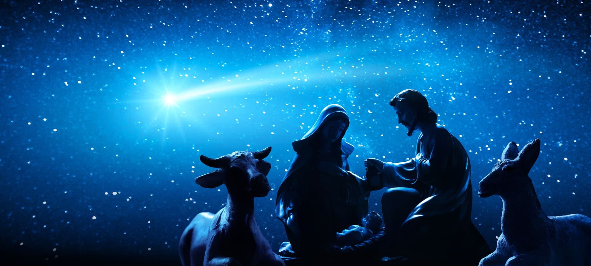 The nativity of baby Jesus, Mary, Joseph and cattle under a night sky full of stars. Only silhouettes are visible; what is most visible or striking is the background of stars.