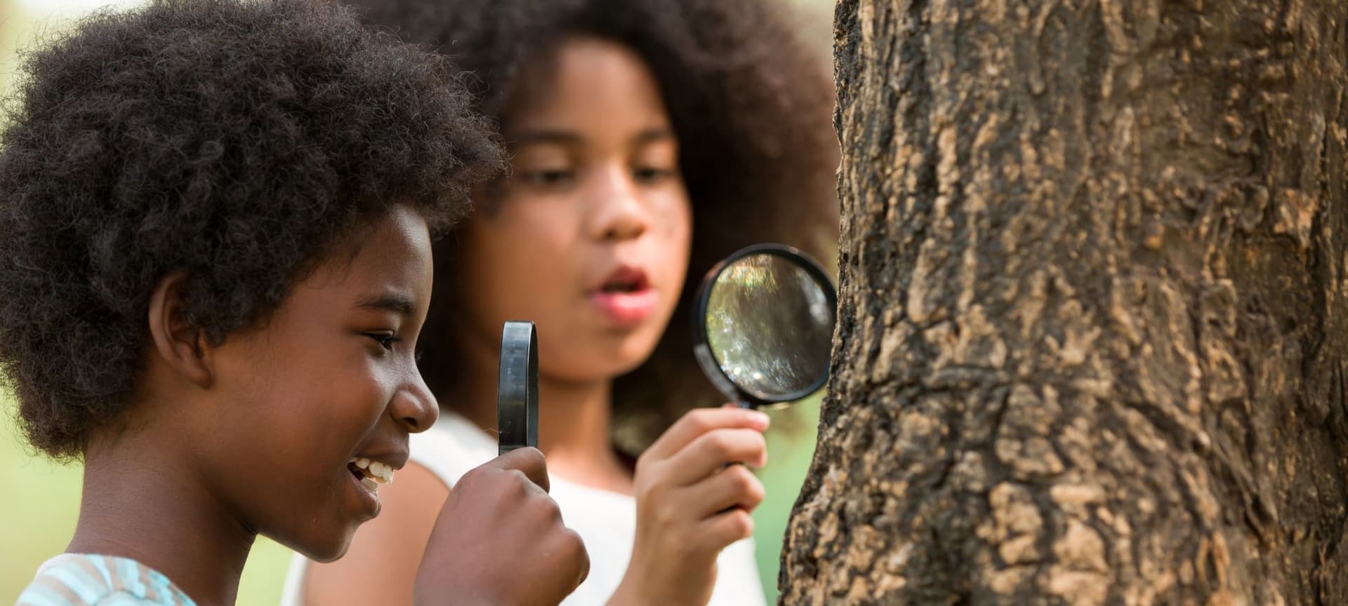 Kids intriguingly and inquisitively looking closely at tree trunk with magnifying glass