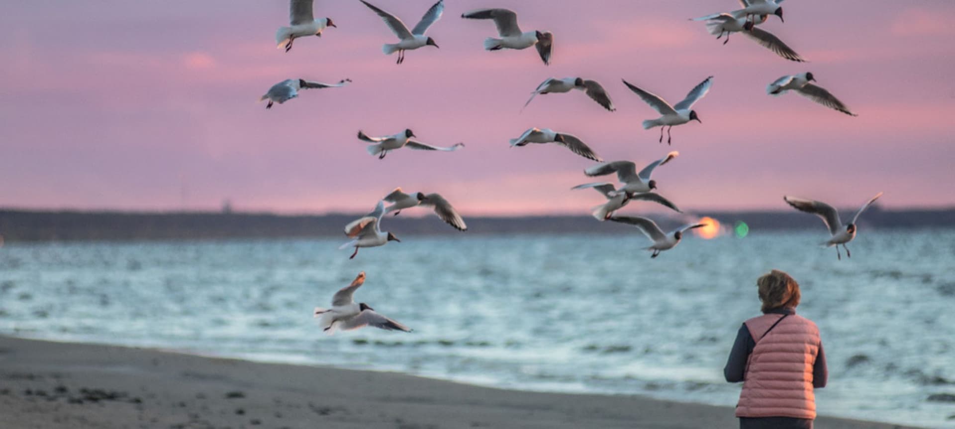 woman standing on beach looking at birds flying overhead