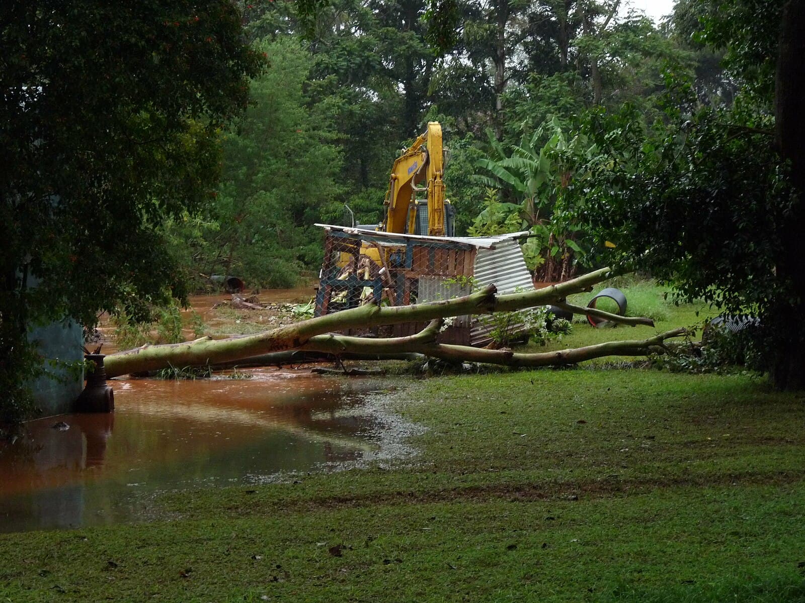 Photo taken after 2024 flooding in Kenya. A felled tree and bent shed-like structure stand in front of an excavator.