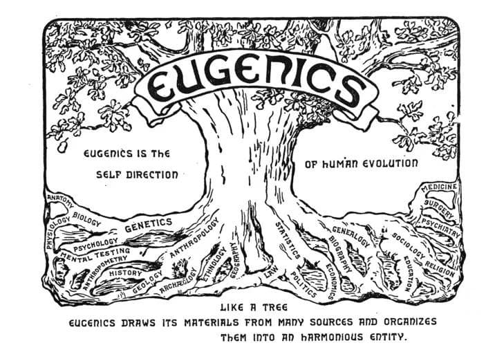 Illustration. A tree labeled "Eugenics," with roots leading off of it which say things such as "Genetics," "Genealogy," and "Sociology." Text by the tree reads "Eugenics is the self direction of human evolution." Text underneath reads "Like a tree, eugenics draws its materials from many sources and organizes them into an harmonious entity."