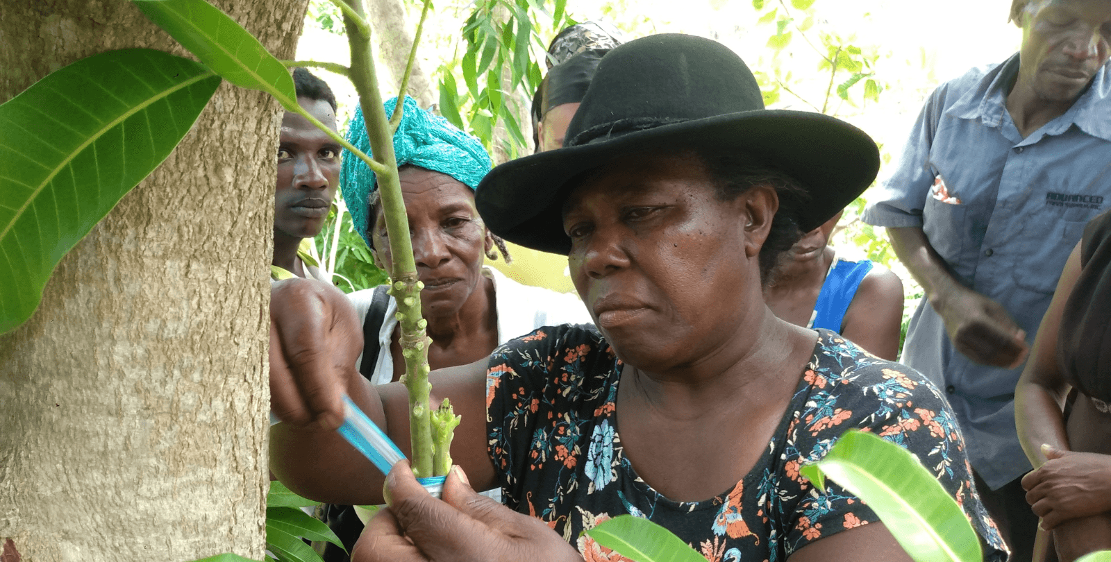 A woman grafts two plants together with tape. A crowd of people stand behind her and watch.
