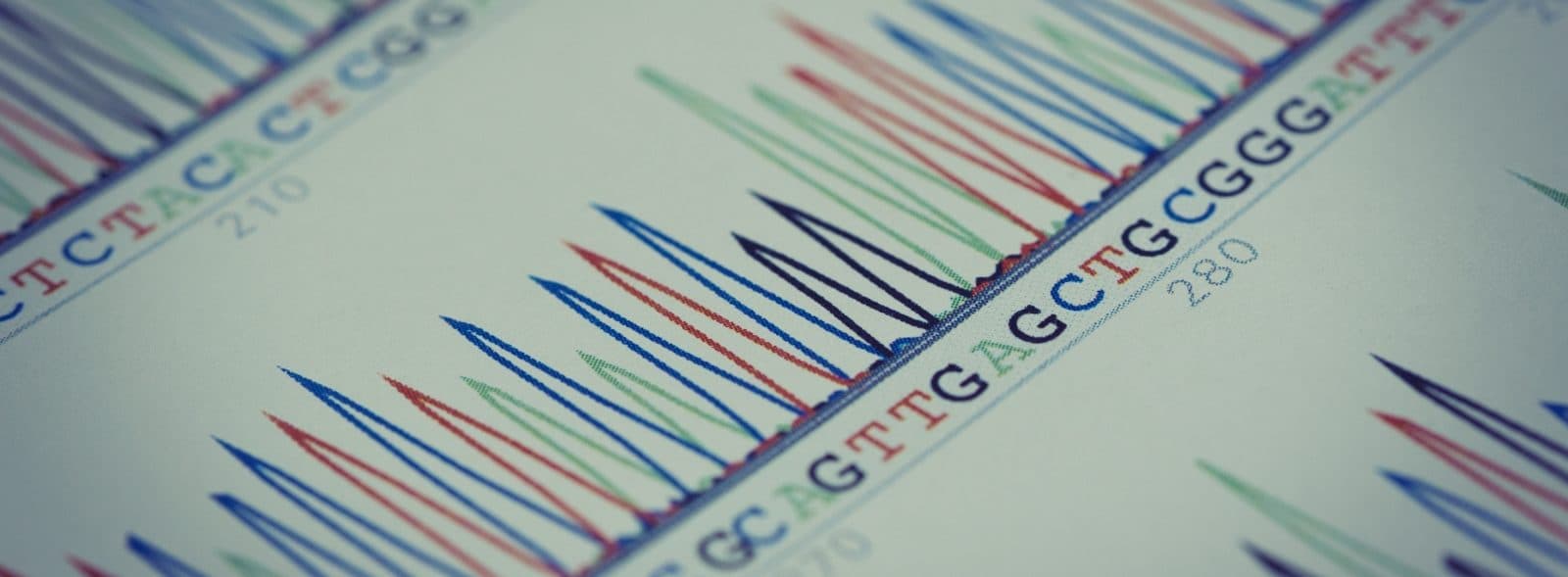 A DNA sequence chart. Lines move up and down above a line of DNA code.
